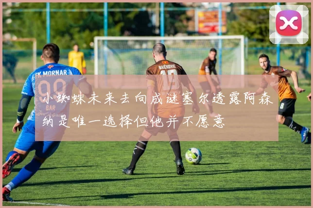 小蜘蛛未来去向成谜塞尔透露阿森纳是唯一选择但他并不愿意