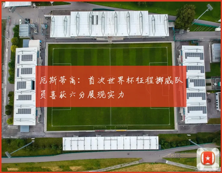 厄斯蒂高：首次世界杯征程挪威队员喜获六分展现实力