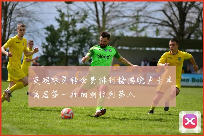英超球员转会费排行榜揭晓卢卡库高居第一托纳利位列第八